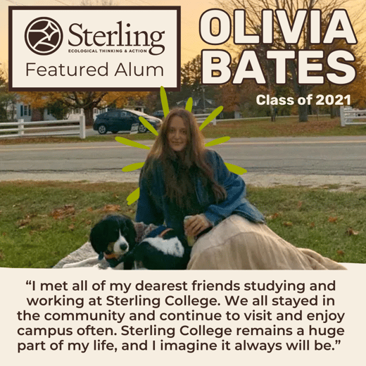 Alumnx spotlights (3)